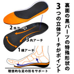 ササエルソール