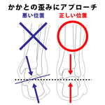 ササエルソール