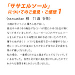 ササエルソール