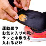 ササエルソール